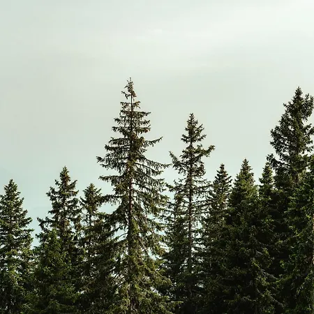 Domek alpejski Lima Alpine - Troadkasten Lisa & Matthias *