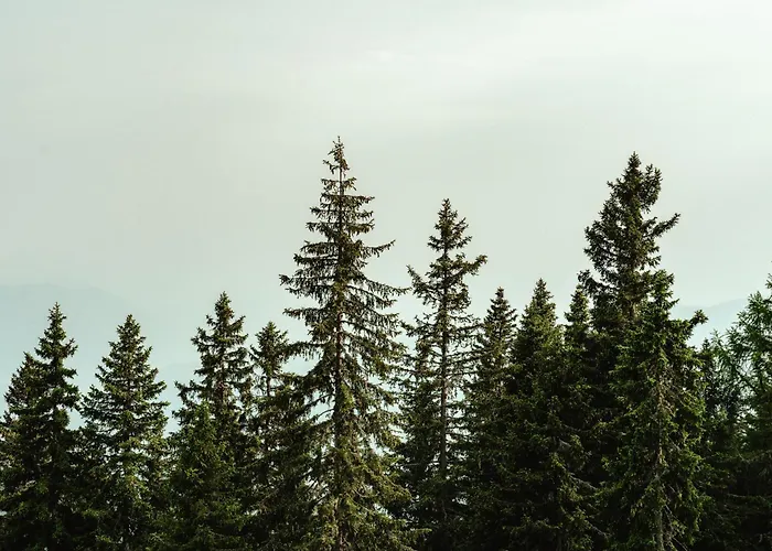 Alpehytte Lima Alpine - Troadkasten Lisa & Matthias *